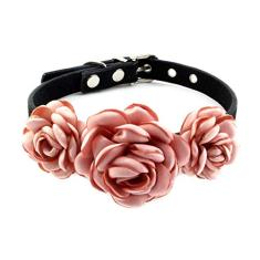 PETFAVORITES Coleira para cães e gatos com flores dos namorados - coleira de casamento de camurça para filhotes de cachorro pequeno - acessórios de roupas chihuahua Yorkie, roupas de fantasia, fivela