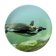 Prato de imagem da natureza do pinguim da Antártica do oceano, Prato decorativo de porcelana Salver, Prato de jantar