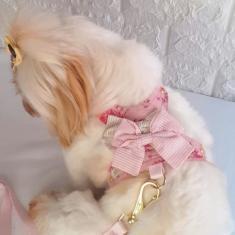 coleira para cachorro com guia rosa floral - PATA CHIC, G  42 a 52 TOR