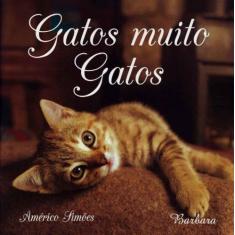 Gatos Muito Gatos - BARBARA EDITORA, 3