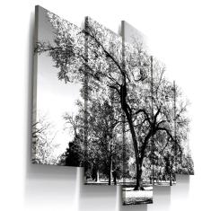 Quadros Decorativos Arvore Preto Branco Botanico 