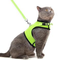 PUPTECK Conjunto de coleira e coleira de malha macia para gatos, acolchoados, à prova de fuga, para gatos, cães pequenos, coelhinhos