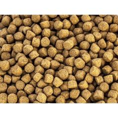 Isca para Peixe Alucina Tamba 200g Leite Condensado