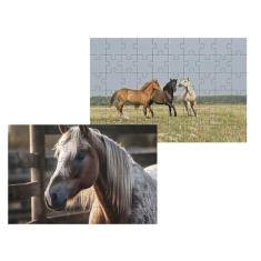 Kit 2 Quebra-Cabeças Atividades Para Mente Cavalos 40 Peças