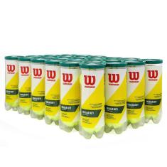 Bola de Tênis Wilson Championship Regular Duty Saibro Caixa com 24 Tubos