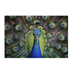 Quebra-Cabeça MDF Majestoso Pavão 300 peças