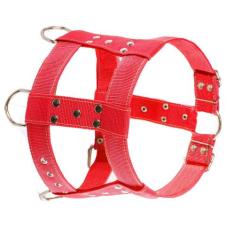 Peitoral Tração Treinamento E Passeio Grande Porte Pit Bull - dedcases