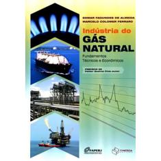 Indústria Do Gás Natural: Fundamentos Técnicos E Econômicos