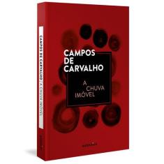 Livro - A chuva imóvel (Capa Dura)