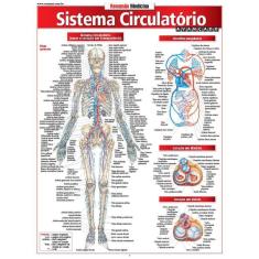 Sistema Circulatório Avançado