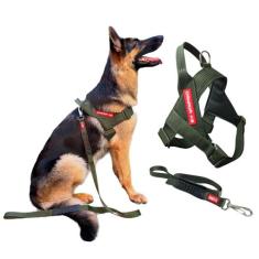 Coleira Peitoral com Guia para cachorro - Modelo Estriado Tamanho G - 