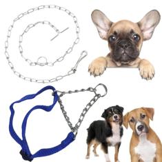 Coleira Cao Cachorro Ajustavel Semi Enforcadora Corrente Aço Zincado Passeio Rua Treinamento