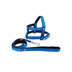 Guia E Peitoral Nylon Duplo P/cães Cachorro - Nº 5 - FLOP, Azul