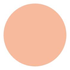 Shiseido UV Protective Compact Foundation Light Beige - Protetor Solar Facial Compacto FPS 35 Refil 12g