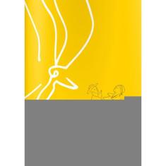 Pedrinhas Miudinhas - Ensaios Sobre Ruas, Aldeias E Terreiros