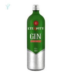 Gin Eternity London Dry 900ml