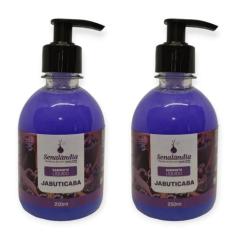 2 Sabonete Líquido Perfumado Grosso Hidratante Corporal Cheiroso 250ml