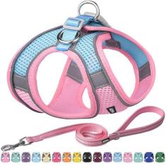 Conjunto de Arnês e Coleira Aiitle Easy Walk para Cães de Médio Porte