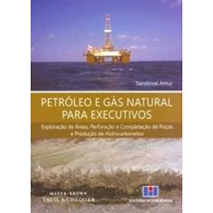 Petróleo e Gás Natural Para Executivos: Exploração de áreas, Perfuração e Completação de Poços e Produção de Hidrocarbonetos