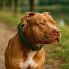 Coleira para Cachorro  Guia Unificada Para Cães de Grande e Médio Port