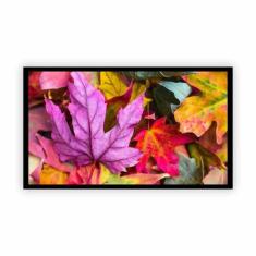 Quadro Canvas Premium Moldura Abstrato Folhas Cores 60X40Cm - Plimshop