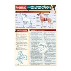Como Cuidar Bem Do Seu Cão - RESUMAO, Sortido