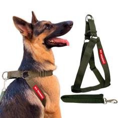 Conjunto Peitoral Prático com Guia para Cachorro - Tamanho G - Canadá 