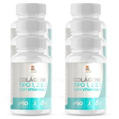 Colágeno Tipo 1, 2 E 3 Com Vit + C Caps 500Mg Kit Com 6 Potes