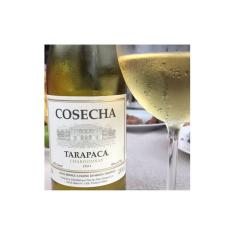 Vinho Chileno Tarapacá Cosecha Chardonnay 750ml