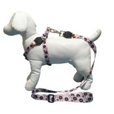 Coleira peitoral para cachorro com guia modelo americano - Facepet, CO