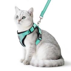 PUPTECK Coleira e Arnês Refletivo para Gatos à Prova de Fuga - Peitoral Ajustável para Cães Pequenos, Coelhos e Coelhos - Turquesa