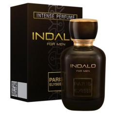 Perfume Indalo Paris Elysees Masculino 100ml
