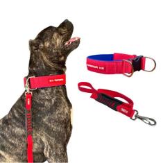 Coleira com Fecho em Nylon + Guia para Cães de Grande Porte - Canadá K
