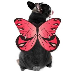 Fantasia de borboleta de cachorro, fantasia de Halloween para animais de estimação pequenos e médios