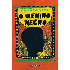 Livro - O menino negro