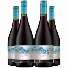 Vinho Tinto Queulat Gran Reserva Pinot Noir 750ml Kit 4 Garrafas - Viñ
