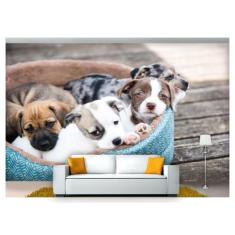 Papel De Parede Animais Filhotes Na Cama 3D Anm224 - Você Decora