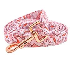 Rainbow Coleira para cães, coleira para cães de primavera forte, durável e resistente, confortável e acolchoada para cães pequenos, médios e grandes