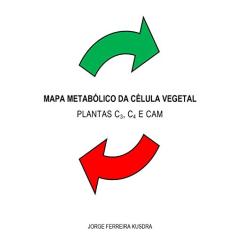 Mapa Metabólico da Célula Vegetal
