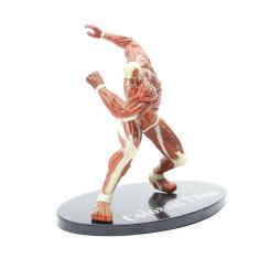 Lena Attack On Titan Figura Modelo de Brinquedo