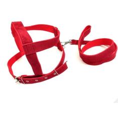 Conjunto Peitoral e Guia de Camurça 25mm Vermelho Tamanho 5 - Nica pet