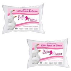 Kit 2 Travesseiros  Antialérgico Penas de Ganso 50cm x 70cm Daune