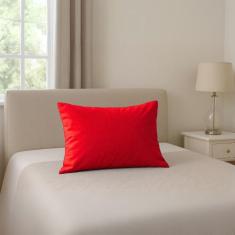 Travesseiro Hospitalar: Capa Impermeável + Refil de Espuma - Coloridas