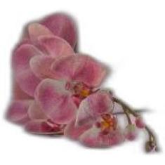 Lençol Cama Casal Padrão 100% Algodão Percal 200 Fios Rosa - Beatriz E