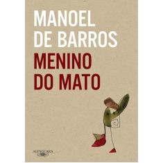 Livro - Menino do mato