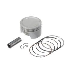 Pistao Kit C/anel Kmp Cg 150  Std F016