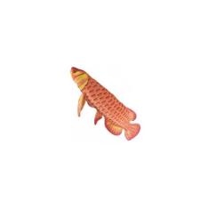 Peixe Carpa De Pelúcia Real Laranja 59 Cm Antialérgico - Unvp
