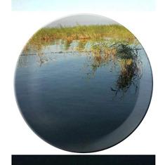 Wondering Plate Prato Decorativo de Porcelana Salver Prato de Jantar