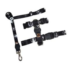 Peitoral coleira H para cachorro com guia resistente para passeio - FA