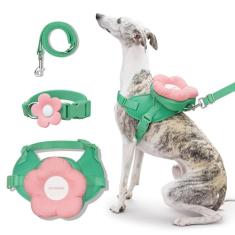 VETRESKA Conjunto de coleira, coleira e coleira Flora para cães, sem puxão, para caminhadas e treinamento, ajustável, fácil de controlar e mochila para animais de estimação macios e acolchoados para